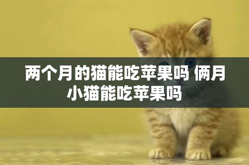 兩個月的貓能吃蘋果嗎 倆月小貓能吃蘋果嗎
