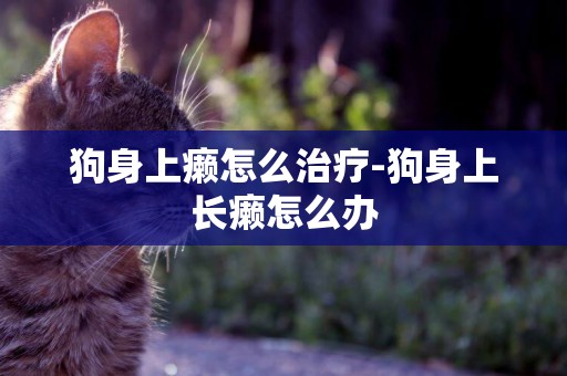 狗身上癩怎么治療-狗身上長癩怎么辦