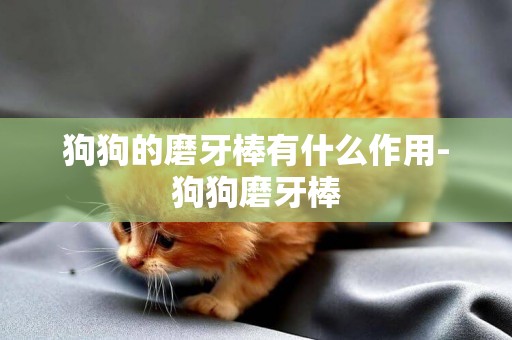 狗狗的磨牙棒有什么作用-狗狗磨牙棒