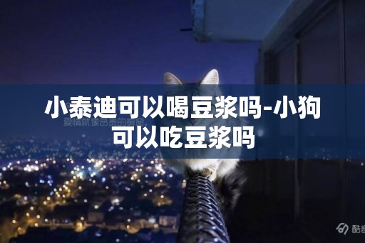 小泰迪可以喝豆漿嗎-小狗可以吃豆漿嗎