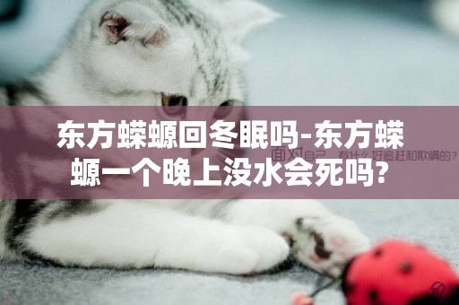 東方蠑螈回冬眠嗎-東方蠑螈一個晚上沒水會死嗎?