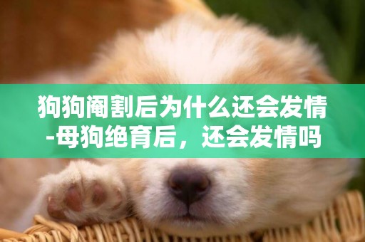 狗狗閹割后為什么還會發情-母狗絕育后，還會發情嗎？