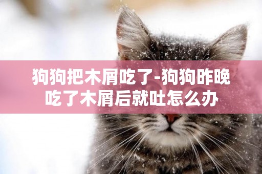 狗狗把木屑吃了-狗狗昨晚吃了木屑后就吐怎么辦