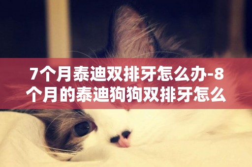 7個月泰迪雙排牙怎么辦-8個月的泰迪狗狗雙排牙怎么辦