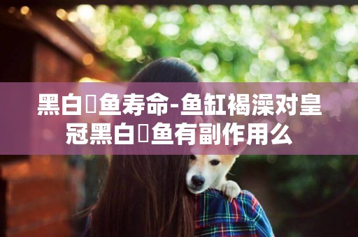黑白魟魚壽命-魚缸褐澡對皇冠黑白魟魚有副作用么
