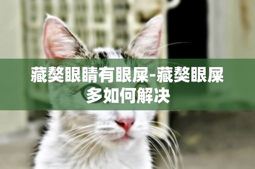 藏獒眼睛有眼屎-藏獒眼屎多如何解決