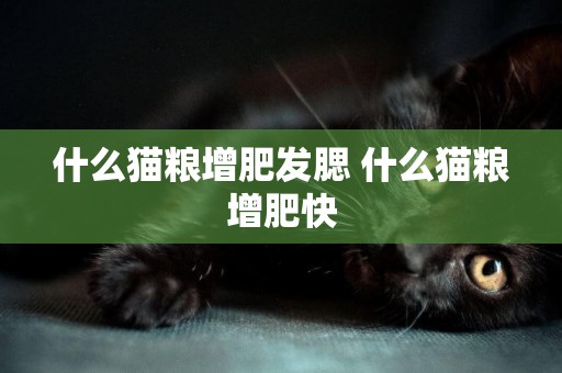 什么貓糧增肥發腮 什么貓糧增肥快