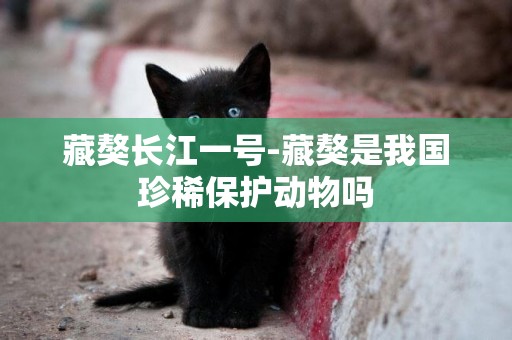 藏獒長江一號-藏獒是我國珍稀保護動物嗎