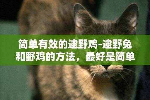 簡單有效的逮野雞-逮野兔和野雞的方法，最好是簡單點的