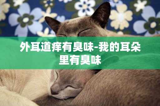 外耳道癢有臭味-我的耳朵里有臭味