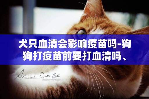 犬只血清會影響疫苗嗎-狗狗打疫苗前要打血清嗎、