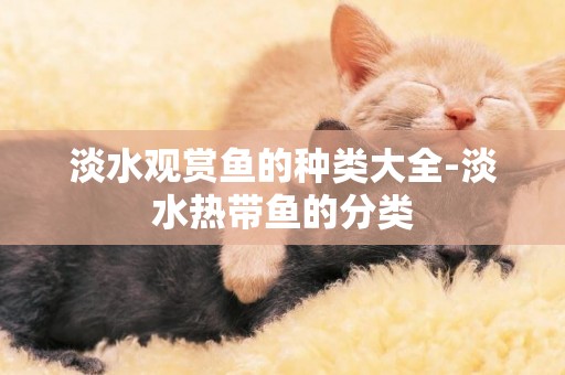 淡水觀賞魚的種類大全-淡水熱帶魚的分類