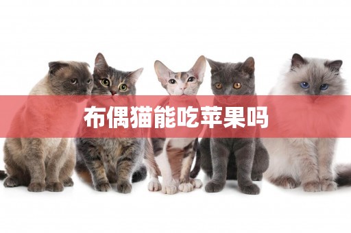 布偶貓能吃蘋果嗎