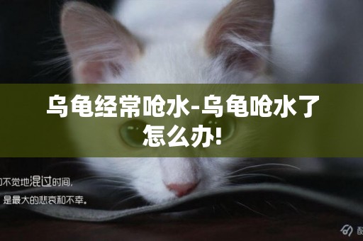 烏龜經常嗆水-烏龜嗆水了怎么辦!