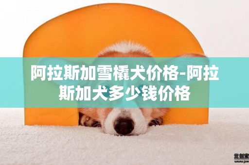 阿拉斯加雪橇犬價格-阿拉斯加犬多少錢價格