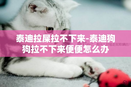 泰迪拉屎拉不下來-泰迪狗狗拉不下來便便怎么辦