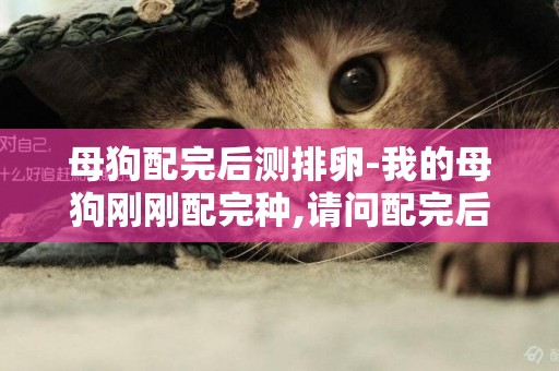 母狗配完后測排卵-我的母狗剛剛配完種,請問配完后有什么注意事項嗎?