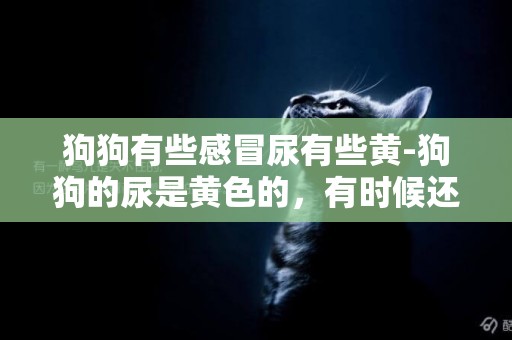 狗狗有些感冒尿有些黃-狗狗的尿是黃色的，有時候還打噴嚏，是怎么回事？