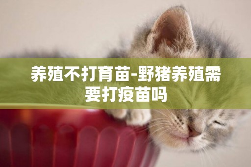 養殖不打育苗-野豬養殖需要打疫苗嗎