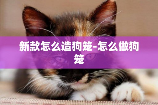 新款怎么造狗籠-怎么做狗籠