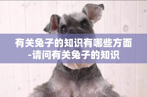 有關兔子的知識有哪些方面-請問有關兔子的知識