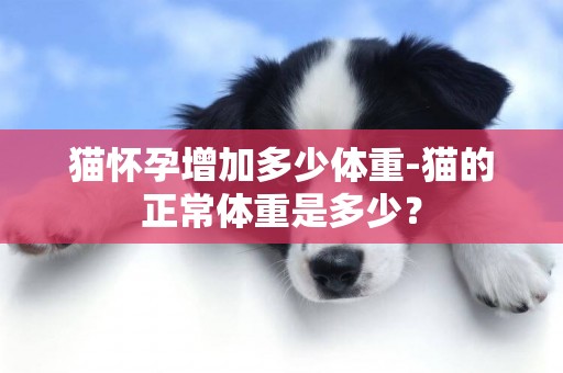 貓懷孕增加多少體重-貓的正常體重是多少？