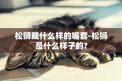 松獅戴什么樣的嘴套-松獅是什么樣子的?