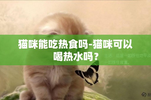 貓咪能吃熱食嗎-貓咪可以喝熱水嗎？