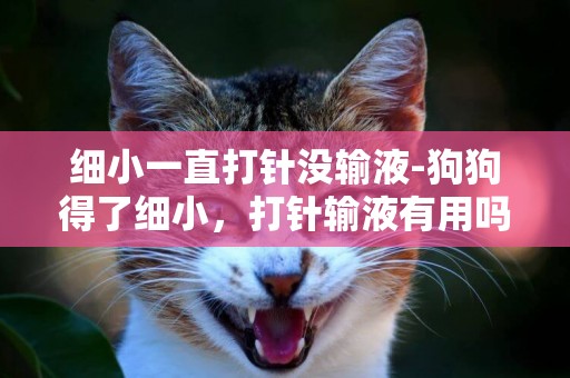 細小一直打針沒輸液-狗狗得了細小，打針輸液有用嗎？