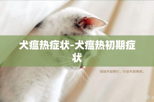 犬瘟熱癥狀-犬瘟熱初期癥狀