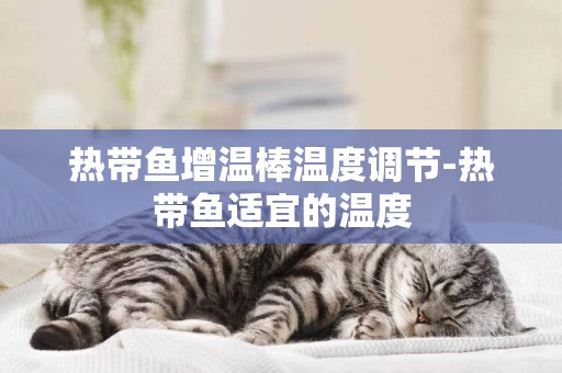 熱帶魚增溫棒溫度調節-熱帶魚適宜的溫度