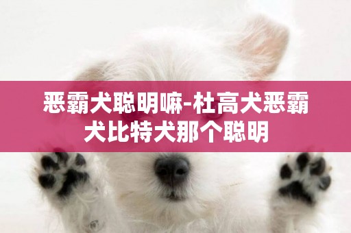 惡霸犬聰明嘛-杜高犬惡霸犬比特犬那個聰明