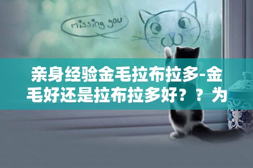 親身經驗金毛拉布拉多-金毛好還是拉布拉多好？？為什么
