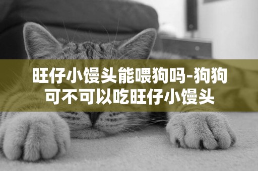 旺仔小饅頭能喂狗嗎-狗狗可不可以吃旺仔小饅頭