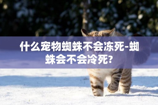 什么寵物蜘蛛不會凍死-蜘蛛會不會冷死?