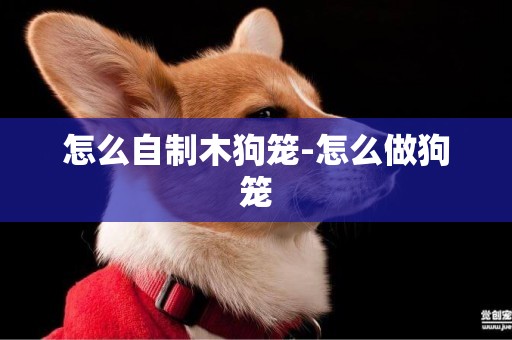 怎么自制木狗籠-怎么做狗籠