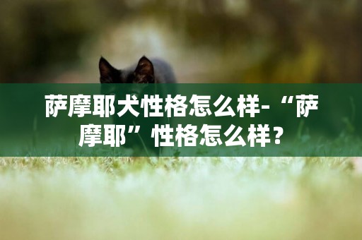 薩摩耶犬性格怎么樣-“薩摩耶”性格怎么樣？