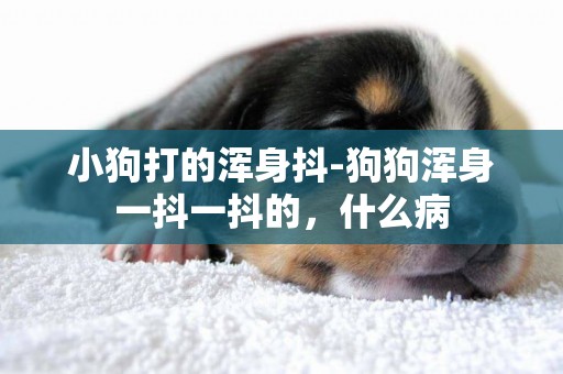 小狗打的渾身抖-狗狗渾身一抖一抖的，什么病