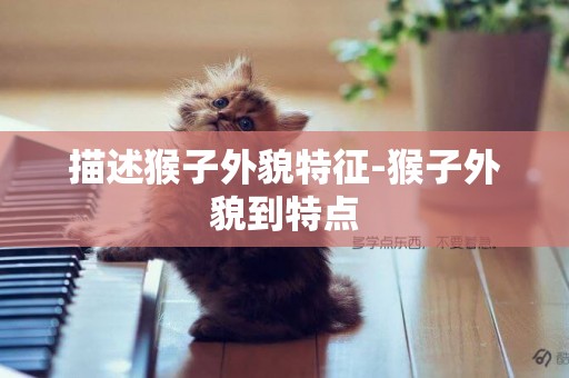 描述猴子外貌特征-猴子外貌到特點
