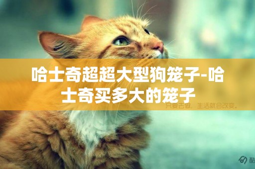 哈士奇超超大型狗籠子-哈士奇買多大的籠子