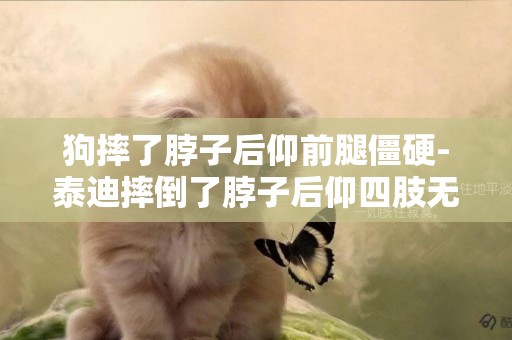 狗摔了脖子后仰前腿僵硬-泰迪摔倒了脖子后仰四肢無力