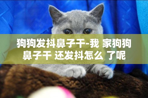狗狗發抖鼻子干-我 家狗狗鼻子干 還發抖怎么 了呢