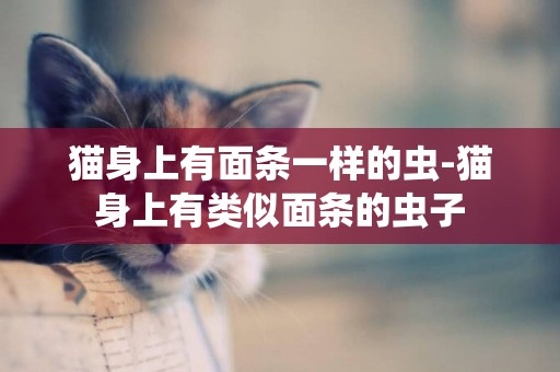 貓身上有面條一樣的蟲-貓身上有類似面條的蟲子