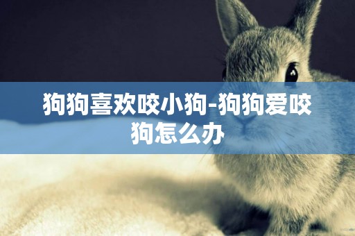 狗狗喜歡咬小狗-狗狗愛咬狗怎么辦