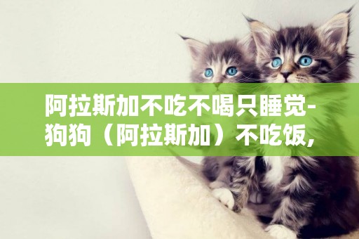 阿拉斯加不吃不喝只睡覺-狗狗（阿拉斯加）不吃飯,沒精神,一直睡，怎么辦？