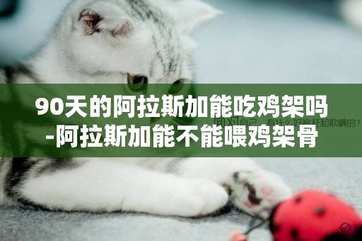 90天的阿拉斯加能吃雞架嗎-阿拉斯加能不能喂雞架骨？