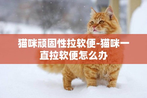 貓咪頑固性拉軟便-貓咪一直拉軟便怎么辦