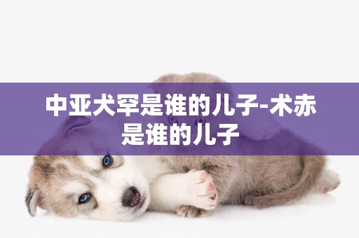 中亞犬罕是誰的兒子-術赤是誰的兒子