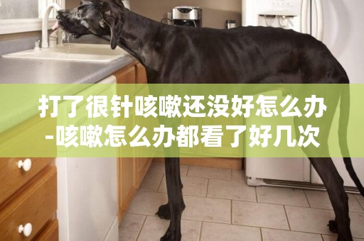 打了很針咳嗽還沒好怎么辦-咳嗽怎么辦都看了好幾次了！針也打了好幾次了！可都還沒好