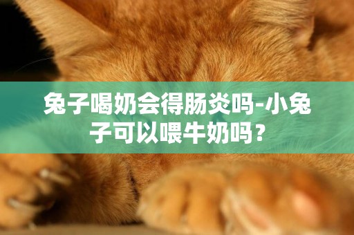 兔子喝奶會得腸炎嗎-小兔子可以喂牛奶嗎？